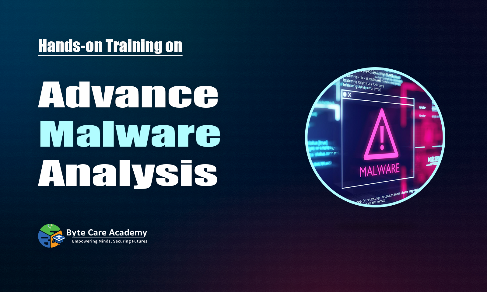 Cyber Security Advance Malware Analysis